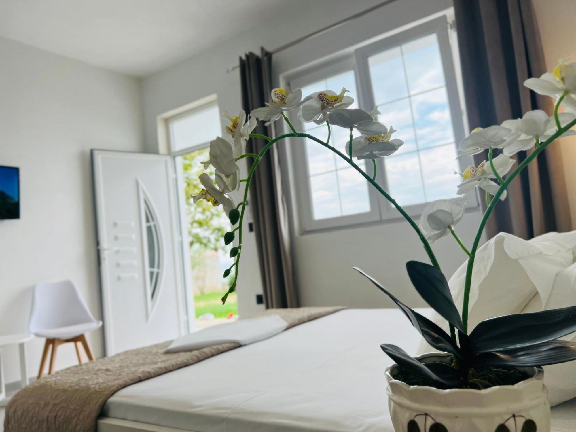 Iart Residence Široka エクステリア 写真